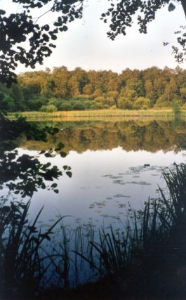 Schnakenpohl in  Varl